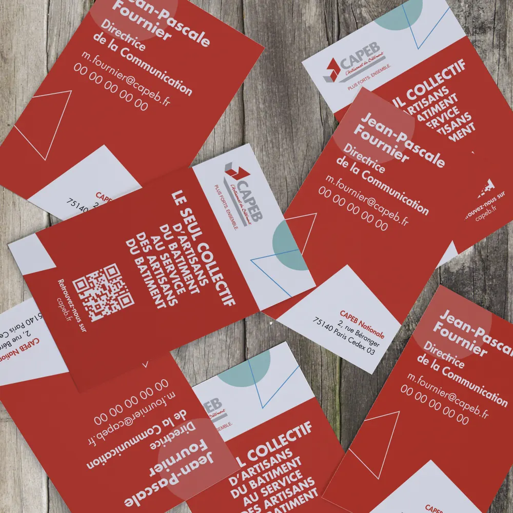 Aperçu de la déclinaison graphique CAPEB